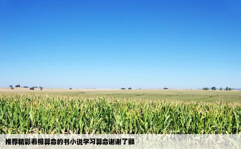 推荐精彩看相算命的书小说学习算命谢谢了额
