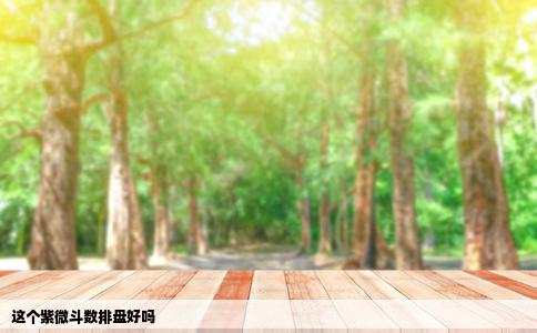 这个紫微斗数排盘好吗