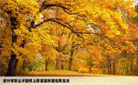 求分享怎么才能怀上男宝宝咋算生男生女