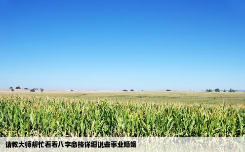 请教大师帮忙看看八字命格详细说些事业婚姻