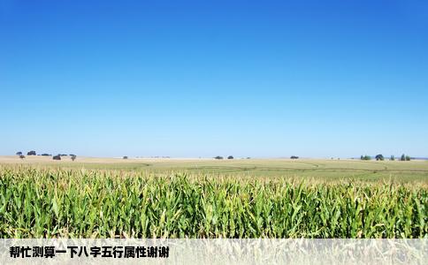 帮忙测算一下八字五行属性谢谢