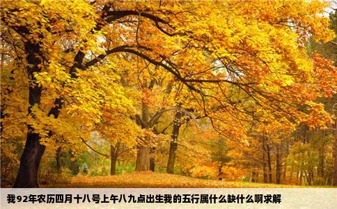 我92年农历四月十八号上午八九点出生我的五行属什么缺什么啊求解