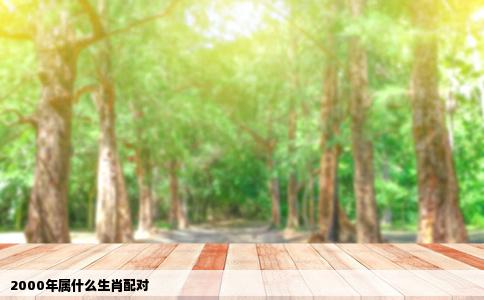 2000年属什么生肖配对