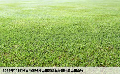2015年11月16日4点54分出生男孩五行缺什么出生五行