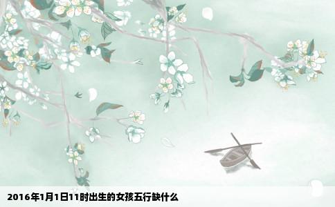 2016年1月1日11时出生的女孩五行缺什么