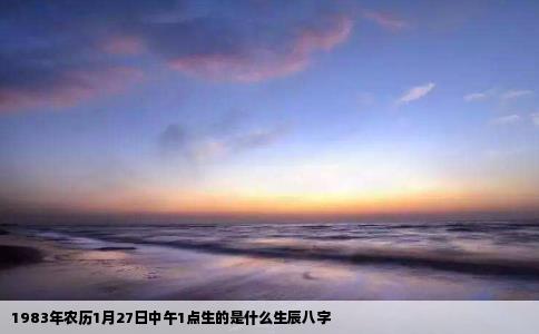 1983年农历1月27日中午1点生的是什么生辰八字