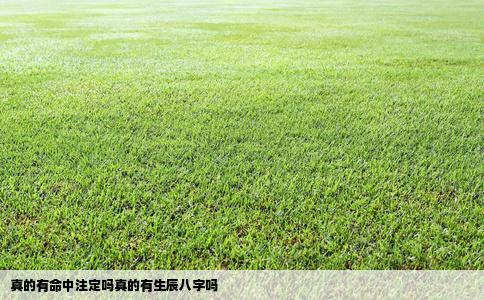 真的有命中注定吗真的有生辰八字吗