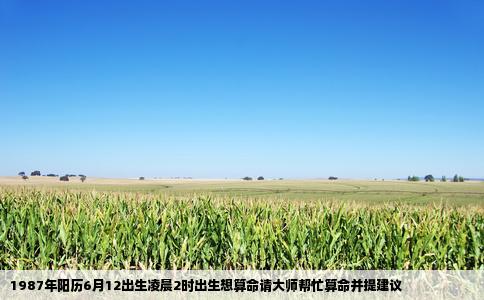 1987年阳历6月12出生凌晨2时出生想算命请大师帮忙算命并提建议
