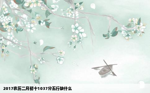 2017农历二月初十1037分五行缺什么