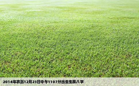 2014年农历12月23日中午1107分出生生辰八字