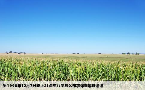 男1990年12月7日晚上21点生八字怎么样求详细解答谢谢