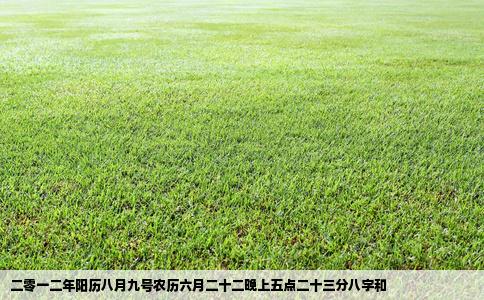 二零一二年阳历八月九号农历六月二十二晚上五点二十三分八字和