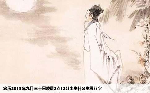 农历2018年九月三十日凌晨2点12分出生什么生辰八字