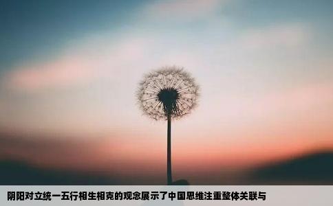 阴阳对立统一五行相生相克的观念展示了中国思维注重整体关联与