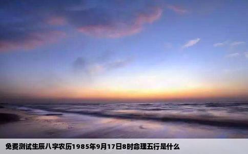 免费测试生辰八字农历1985年9月17日8时命理五行是什么