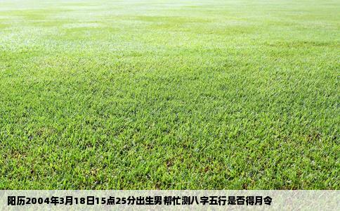 阳历2004年3月18日15点25分出生男帮忙测八字五行是否得月令