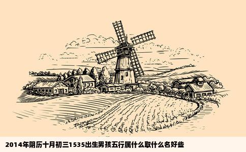 2014年阴历十月初三1535出生男孩五行属什么取什么名好些