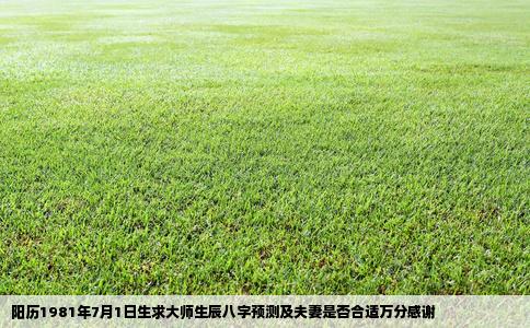 阳历1981年7月1日生求大师生辰八字预测及夫妻是否合适万分感谢