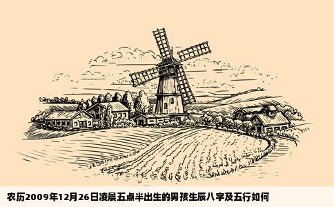 农历2009年12月26日凌晨五点半出生的男孩生辰八字及五行如何