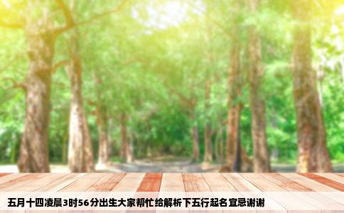 五月十四凌晨3时56分出生大家帮忙给解析下五行起名宜忌谢谢