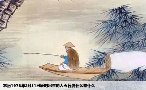 农历1978年2月11日辰时出生的人五行属什么缺什么