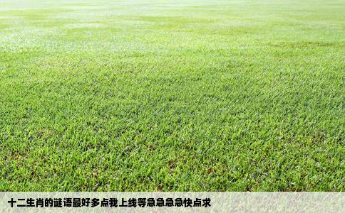 十二生肖的谜语最好多点我上线等急急急急快点求