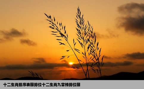 十二生肖排序表图排位十二生肖九宫格排位图