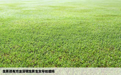生男孩有方法没呢生男生女早知道吗