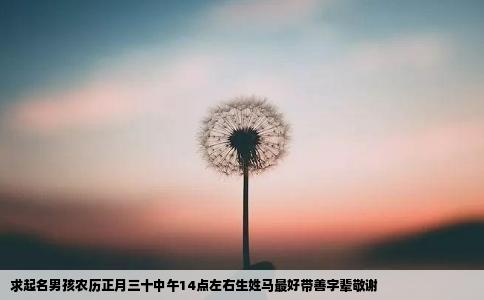 求起名男孩农历正月三十中午14点左右生姓马最好带善字辈敬谢