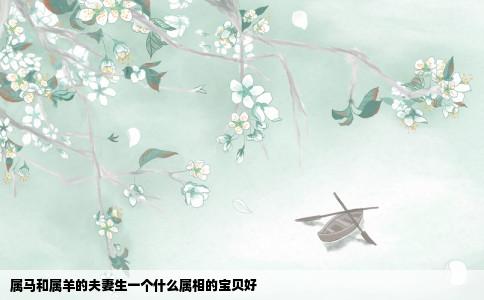 属马和属羊的夫妻生一个什么属相的宝贝好