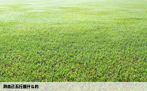 测自己五行属什么的