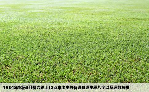 1984年农历5月初六晚上12点半出生的有谁知道生辰八字以及运数怎样