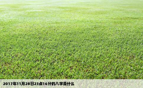 2017年11月28日23点16分的八字是什么