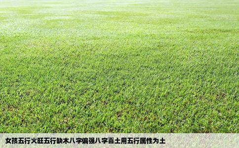 女孩五行火旺五行缺木八字偏强八字喜土用五行属性为土
