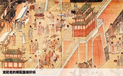 龙和龙的婚配属相好吗