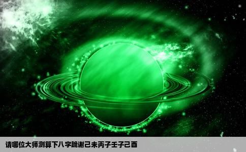 请哪位大师测算下八字跪谢己未丙子壬子己酉
