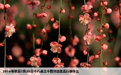 2016年农历7月20日十八点三十四分出生五行缺什么