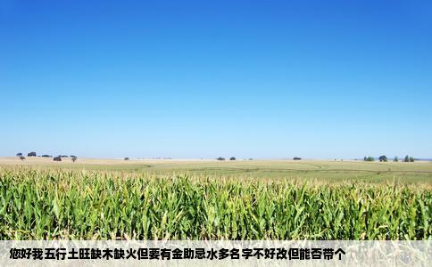 您好我五行土旺缺木缺火但要有金助忌水多名字不好改但能否带个