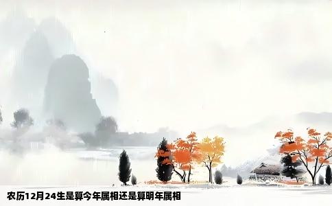 农历12月24生是算今年属相还是算明年属相