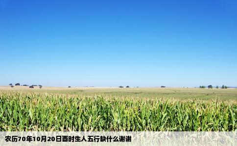 农历70年10月20日酉时生人五行缺什么谢谢