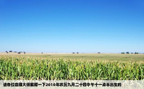 请各位命理大师解释一下2010年农历九月二十四中午十一点半出生的