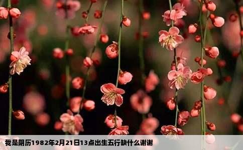 我是阴历1982年2月21日13点出生五行缺什么谢谢