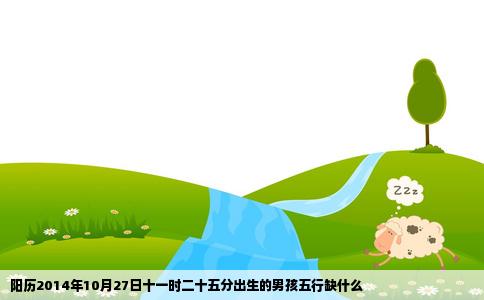 阳历2014年10月27日十一时二十五分出生的男孩五行缺什么