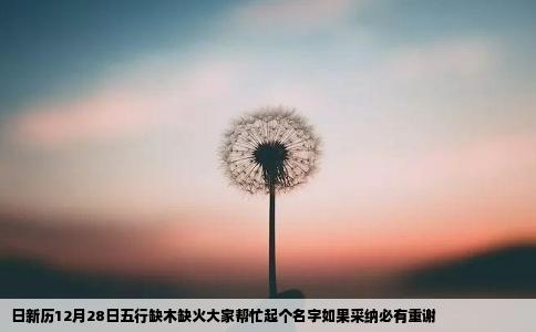 日新历12月28日五行缺木缺火大家帮忙起个名字如果采纳必有重谢