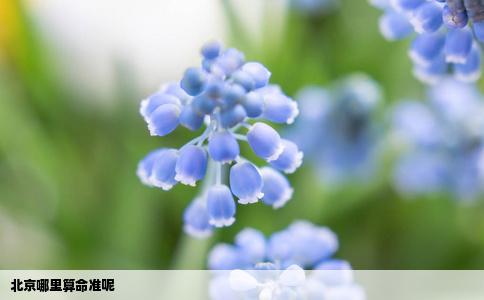 北京哪里算命准呢