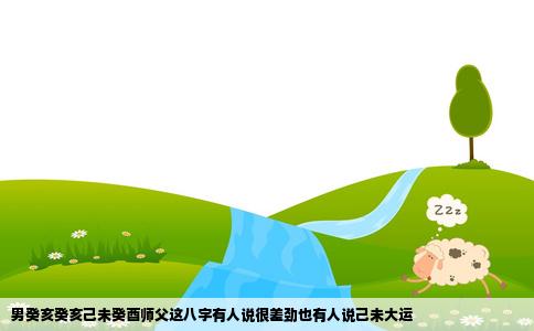 男癸亥癸亥己未癸酉师父这八字有人说很差劲也有人说己未大运