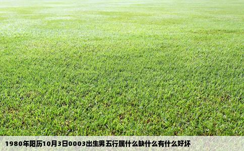 1980年阳历10月3日0003出生男五行属什么缺什么有什么好坏