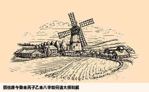 四柱庚午癸未丙子乙未八字如何请大师批解