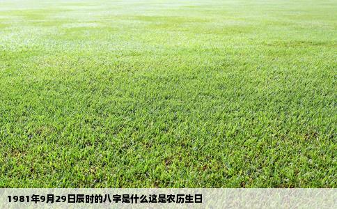 1981年9月29日辰时的八字是什么这是农历生日