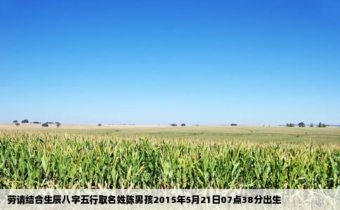 劳请结合生辰八字五行取名姓陈男孩2015年5月21日07点38分出生